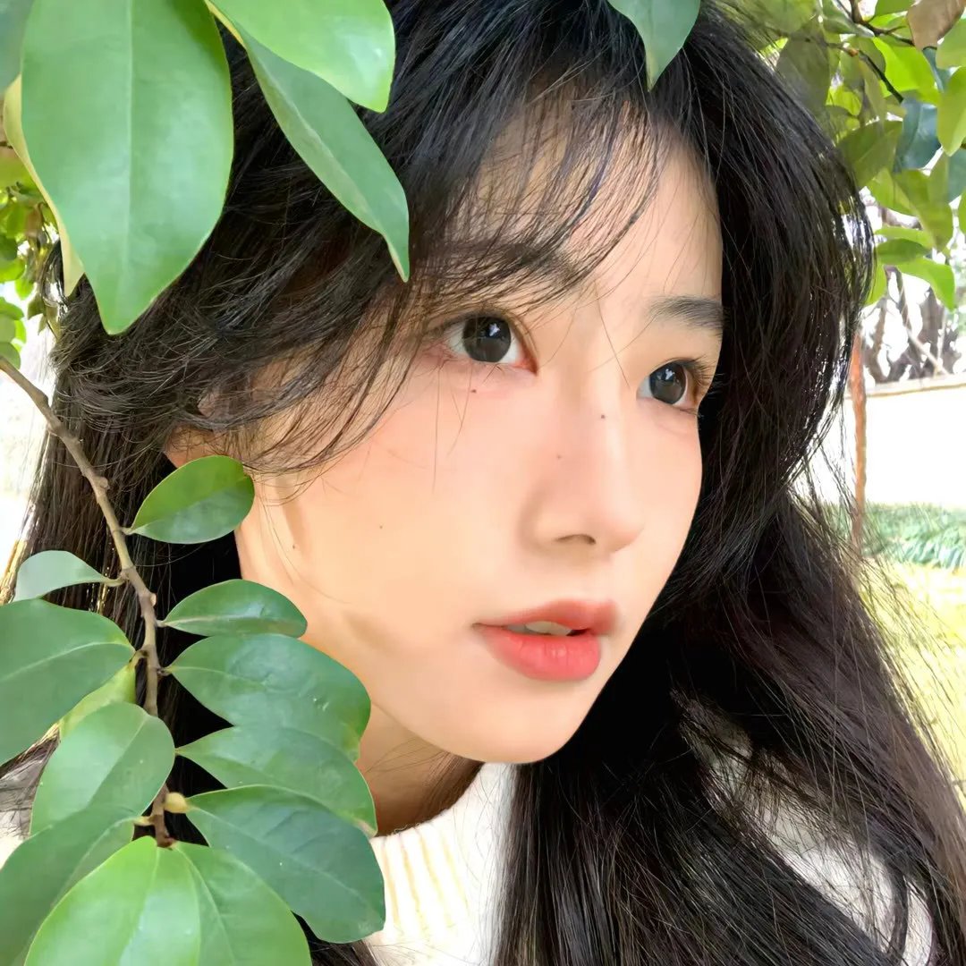 去桃花盛开的地方